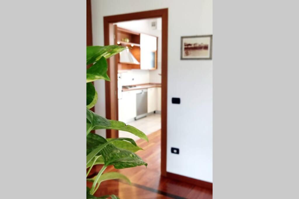 Diamante: Appartamento Nel Cuore Della Toscana Castelfranco di Sotto Exterior photo